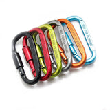 1Pcs Carabiner Climbing Accessories Aviation Aluminum Alloy D-type Hanging Buckle With Lock Key Tool Equipment Outdoor Supplies
